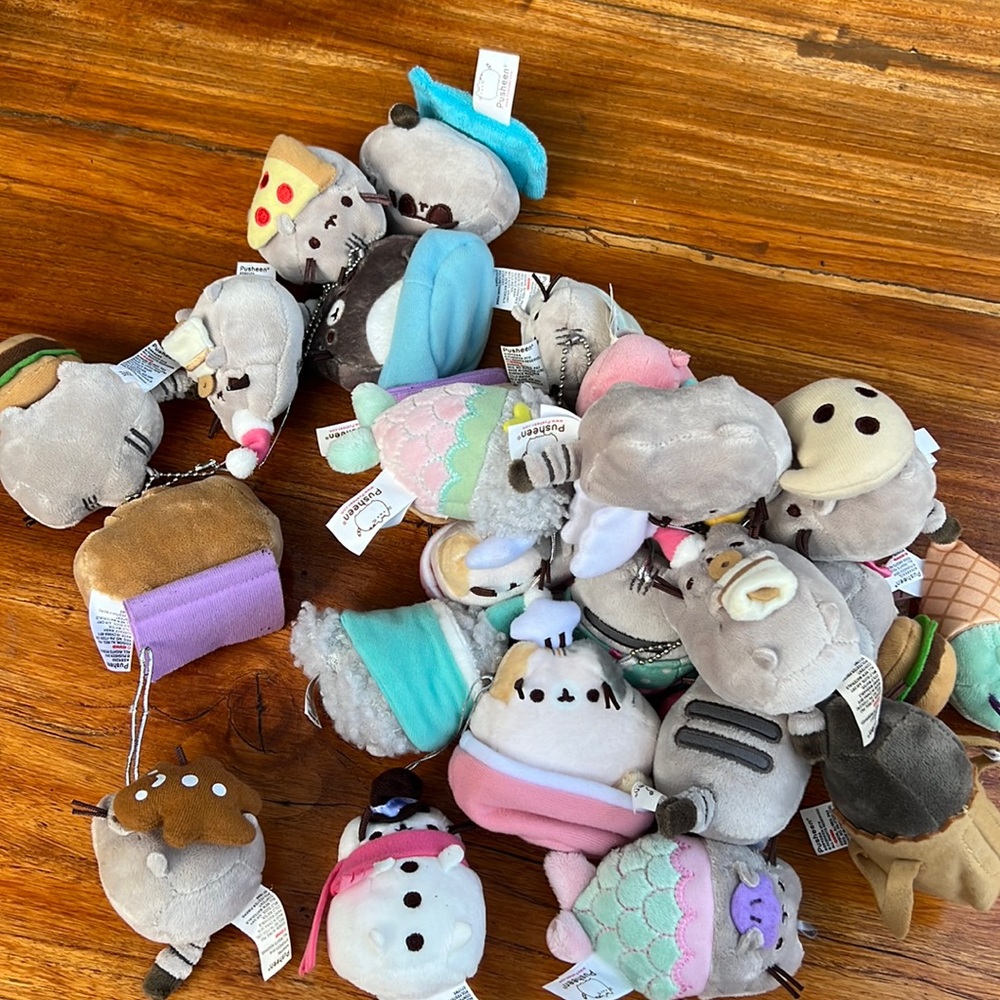 A entire collection of Pusheens